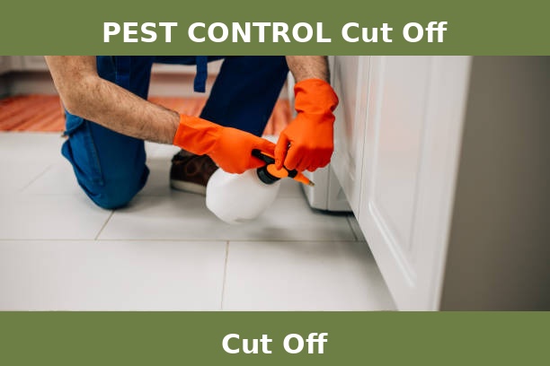 PEST CONTROL Cut Off
